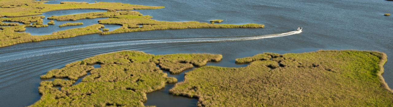 Houma’s coastal wetlands from above Houma’s coastal wetlands from above