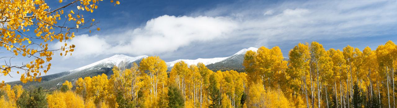 Falls Peak and aspen trees on an Autumn day in Flagstaff Falls Peak and aspen trees on an Autumn day in Flagstaff