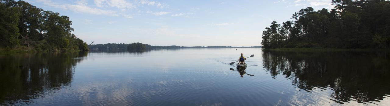 Kayaking in the Kisatchie National Forest Kayaking in the Kisatchie National Forest