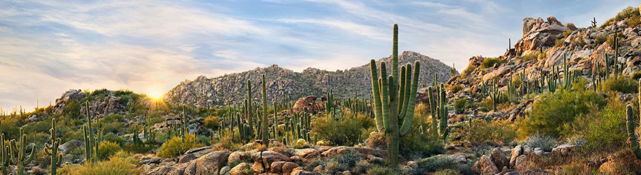 Scenery of McDowell Sonoran Preserve in Scottsdale, Arizona Scenery of McDowell Sonoran Preserve in Scottsdale, Arizona