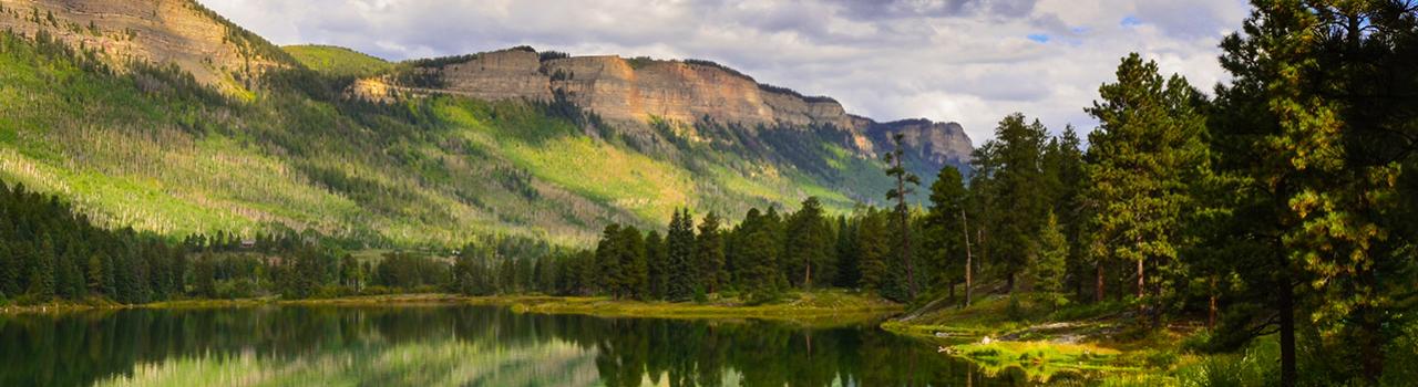 Lust green forests and stunning views from Haviland Lake in Durango, Colorado Lust green forests and stunning views from Haviland Lake in Durango, Colorado
