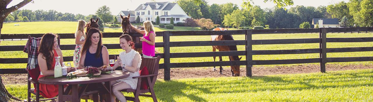 Wine and snacks while visiting American Saddlebreds at a Shelbyville farm Wine and snacks while visiting American Saddlebreds at a Shelbyville farm