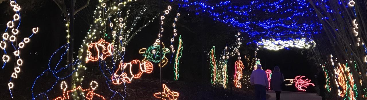 A colorful light display at Bellingrath Gardens & Home in Mobile, Alabama A colorful light display at Bellingrath Gardens & Home in Mobile, Alabama