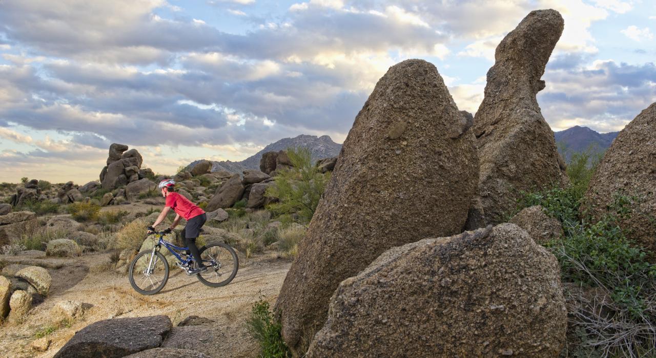 在崎嶇小徑上騎登山自行車 在崎嶇小徑上騎登山自行車