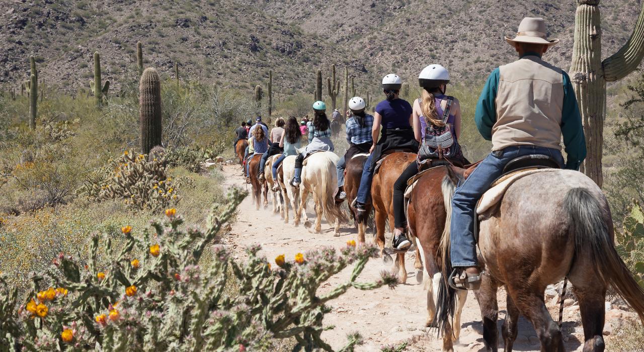 騎馬穿越索諾蘭沙漠 騎馬穿越索諾蘭沙漠