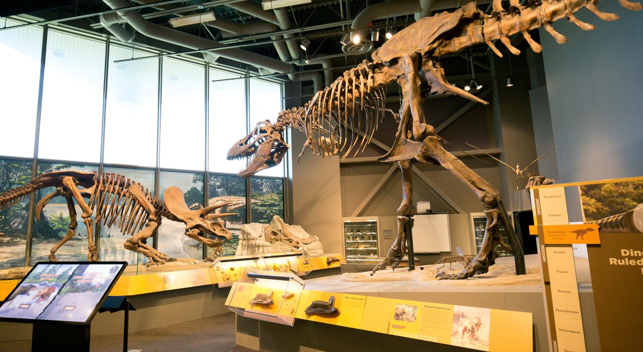 Natural history displays at the North Dakota Heritage Center and State Museum bring the prehistoric past to life Natural history displays at the North Dakota Heritage Center and State Museum bring the prehistoric past to life