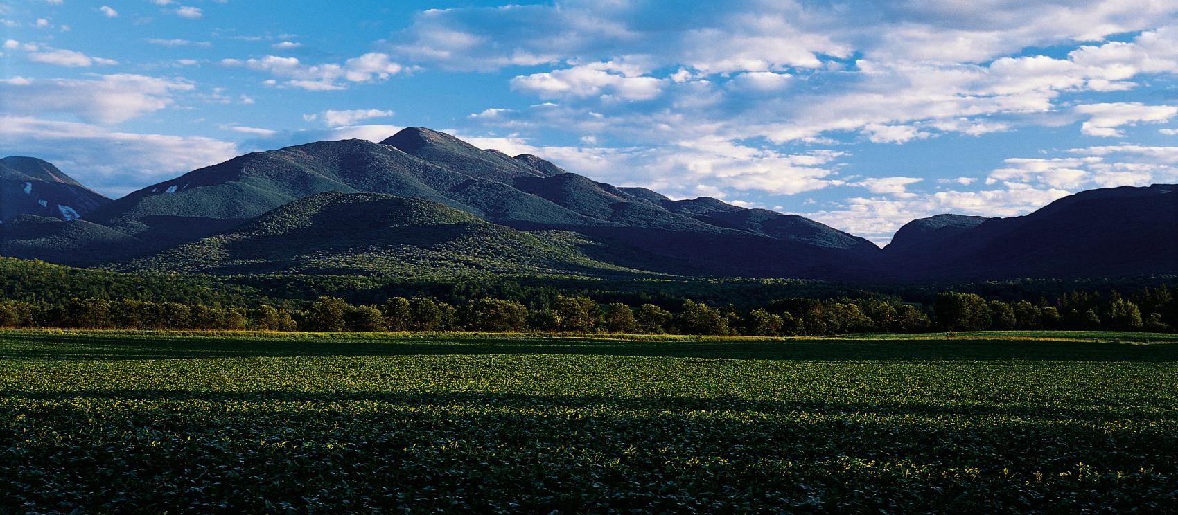 在普萊西德湖,阿迪朗達克的印第安山口,背景為阿岡昆峰 在普萊西德湖,阿迪朗達克的印第安山口,背景為阿岡昆峰