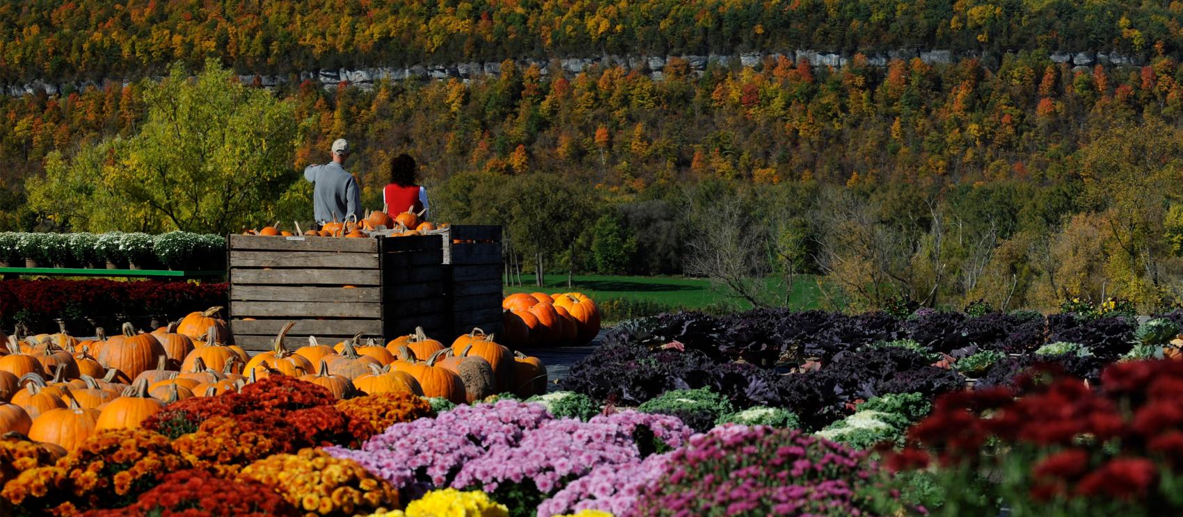 紐約州中部的繽紛秋景 紐約州中部的繽紛秋景