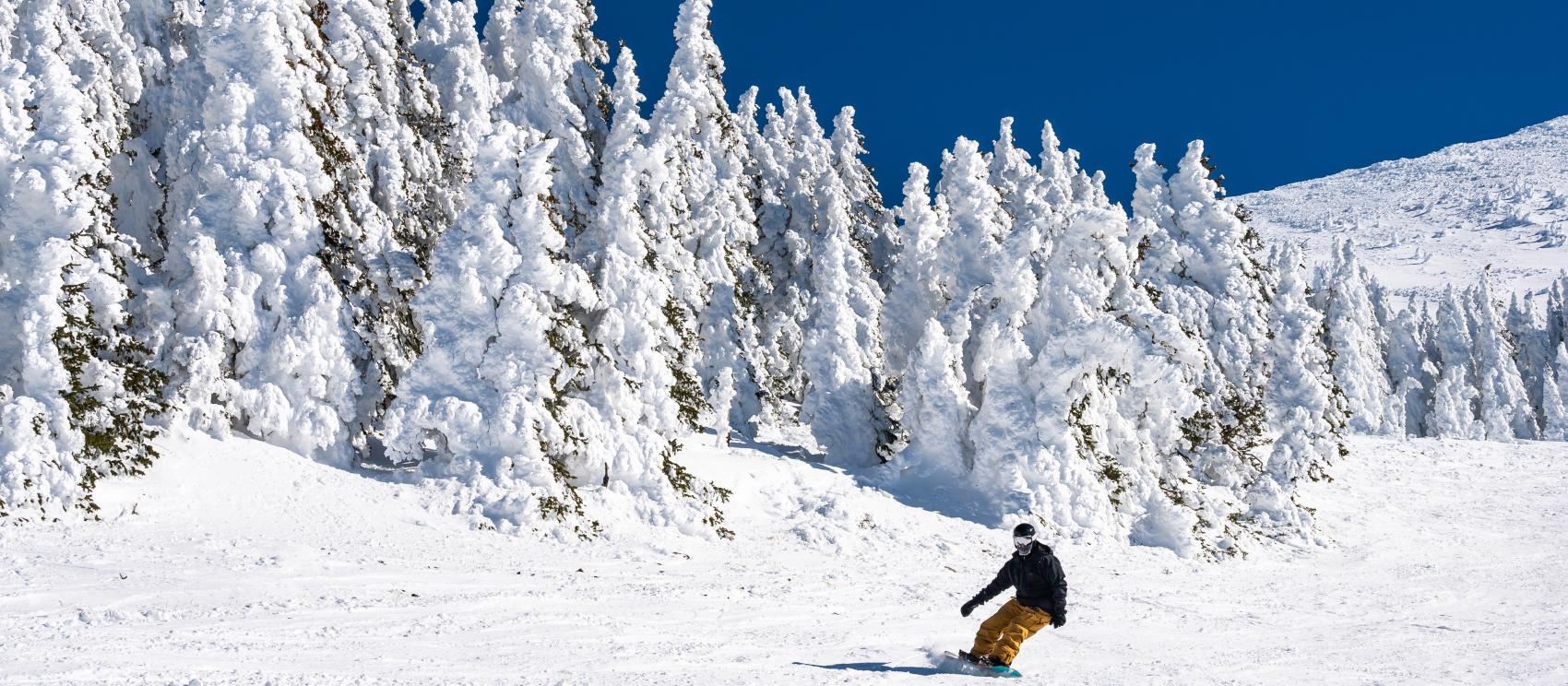 Snowboarding the Arizona Snowbowl, a Flagstaff staple Snowboarding the Arizona Snowbowl, a Flagstaff staple
