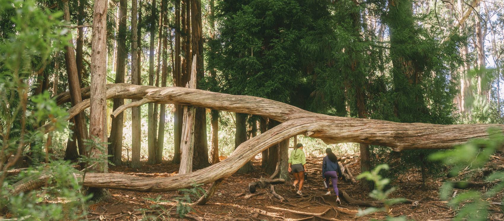 Hiking in Haleakalā National Park on Maui Hiking in Haleakalā National Park on Maui