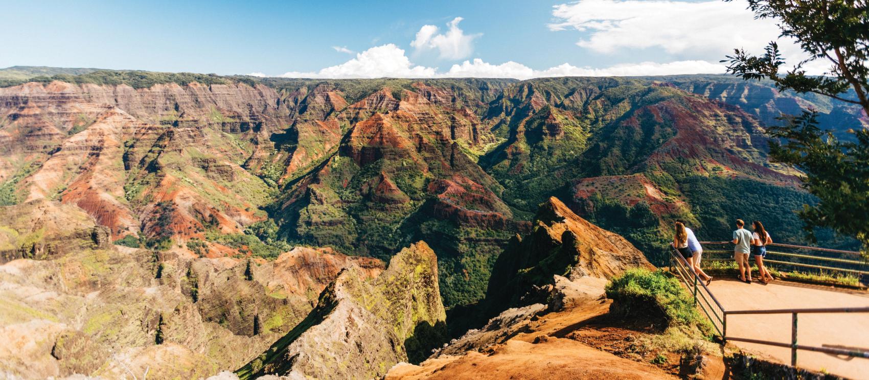 Peering across vast canyons at Waimea Canyon Lookout on Kauaʻi Peering across vast canyons at Waimea Canyon Lookout on Kauaʻi